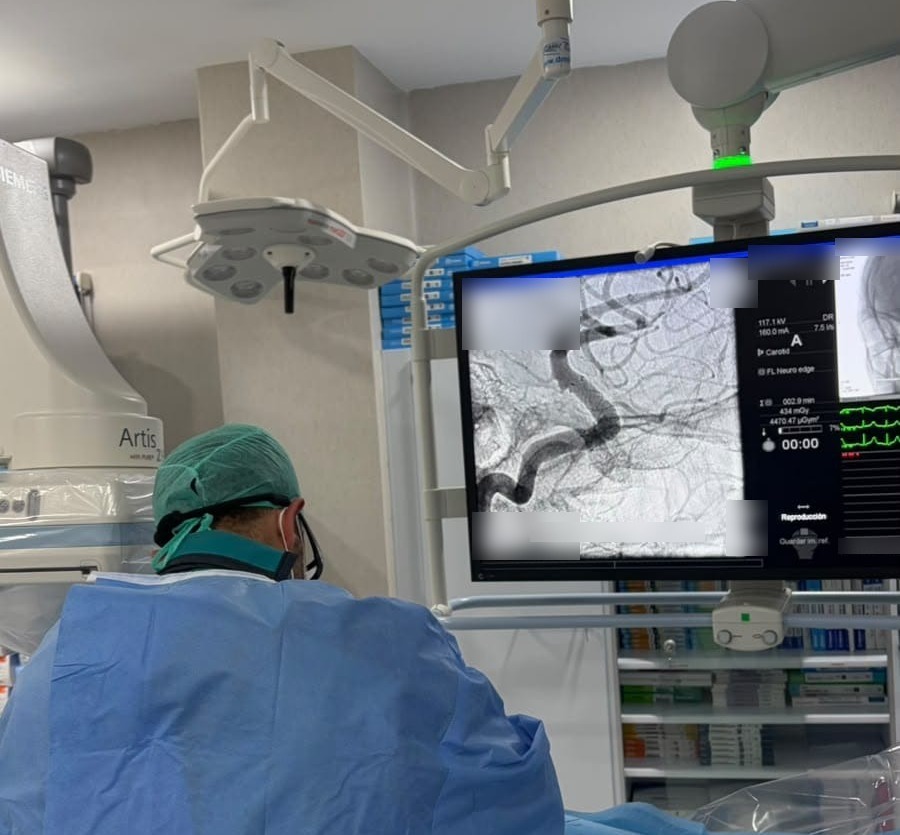 Endovascular Diagnosis and Treatment for Neurosurgical Pathologies